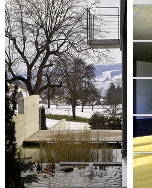 Bild das die Landschaft von Hitzkirch zeigt